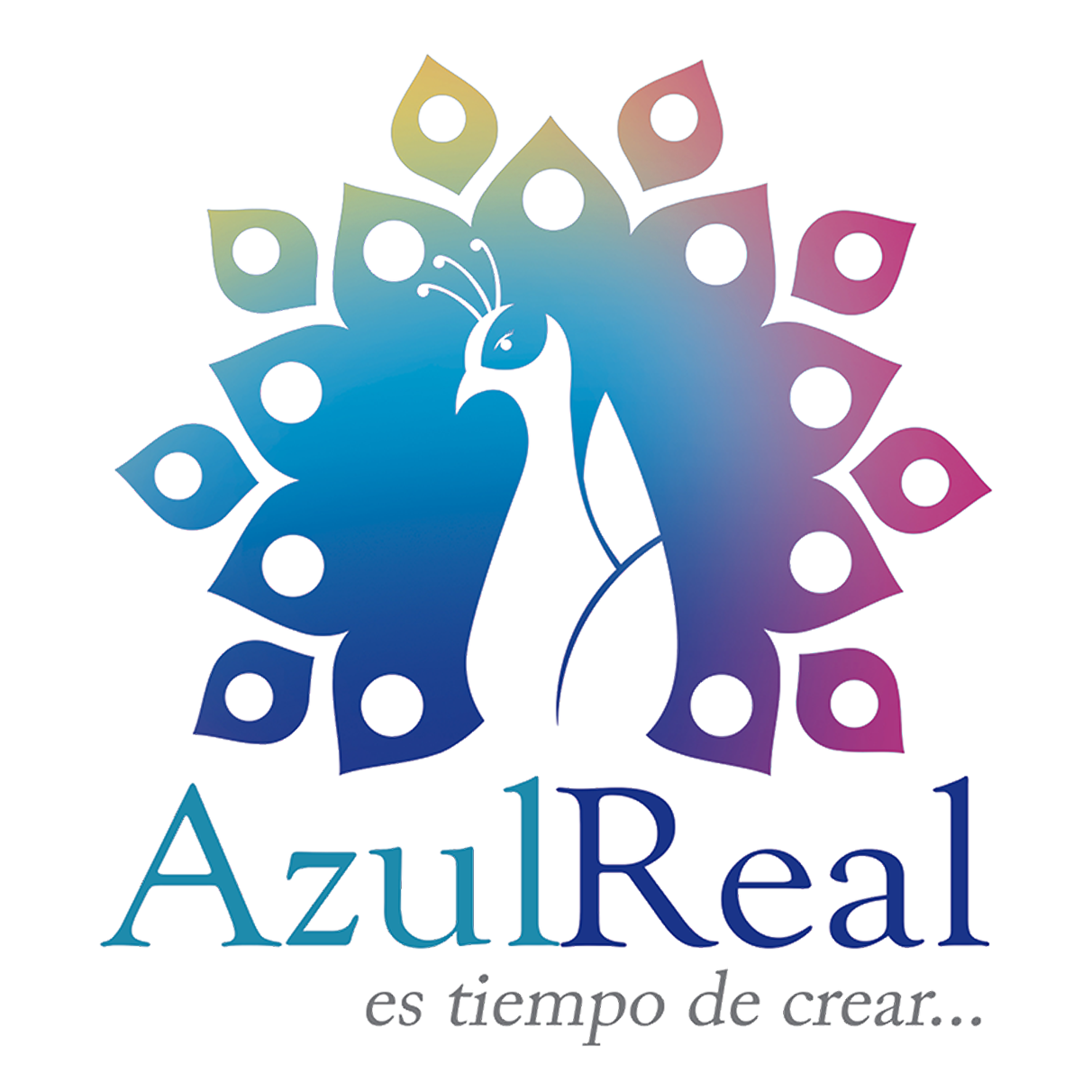 azulreal-empresa